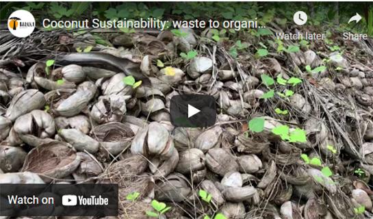 Coconut Sustainability: waste to organic planting pots
