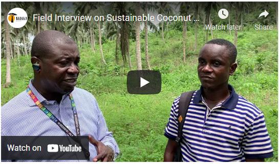 Field Interview on Sustainable Coconut Farm Management