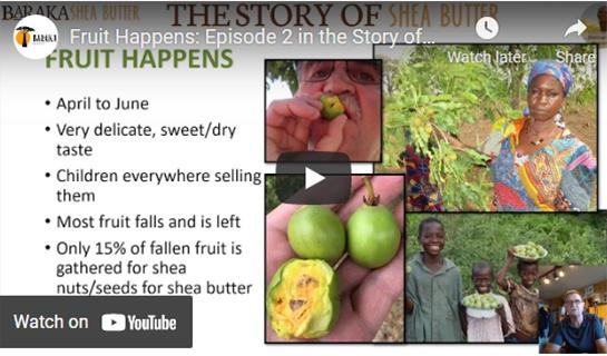 Fruit Happens: Story of Shea Butter