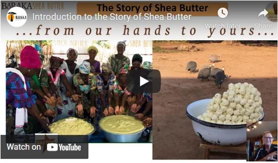 Introduction to the Story of Shea Butter