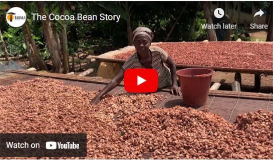 The Cocoa Bean Story